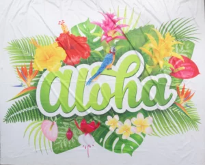 Horyzont Hawaje Aloha