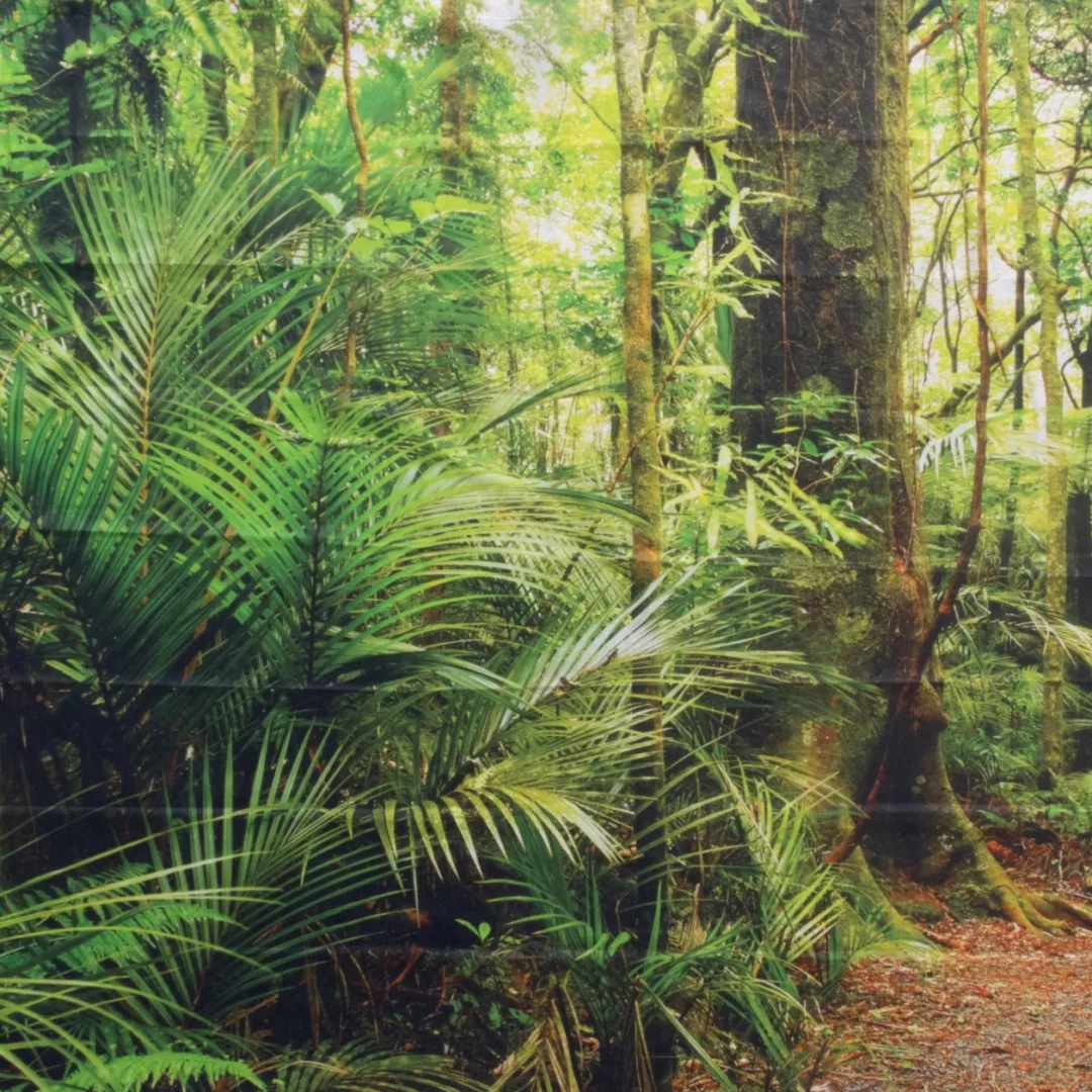 Horyzont Jungle 4