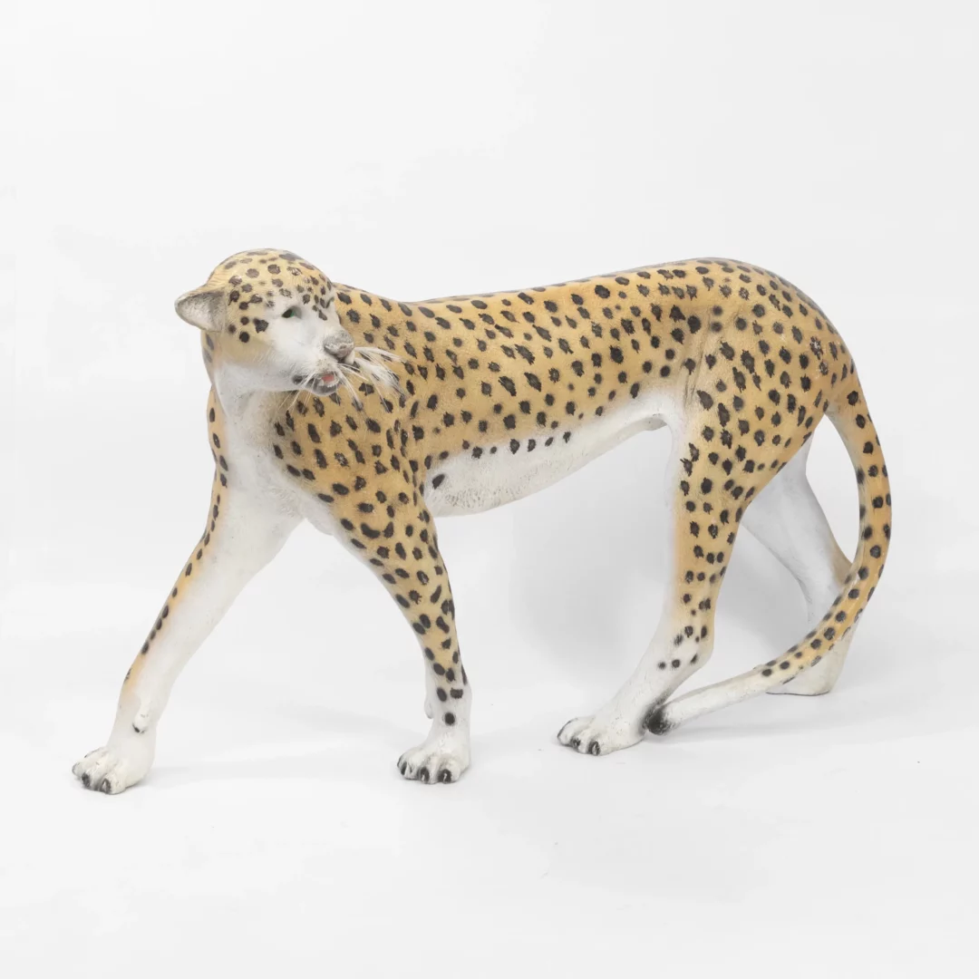 Gepard - realistyczna figura geparda, wykonana z precyzyjnym odwzorowaniem detali. Gepard ukazany w dynamicznej pozie, z głową zwróconą w stronę widza. Brązowo-żółto-złocista sierść pokryta charakterystycznymi czarnymi cętkami oraz białymi partiami na brzuchu i pysku. Model idealny do dekoracji eventowych tematycznych oraz imprez okolicznościowych, dostępny w wypożyczalni rent4events.pl i rent4weddings.pl we Wrocławiu. Idealny do tworzenia efektownej scenografii w stylu safari, Jungle czy orientalnych - rent4events.pl wypożycz wrażenia, rent4weddings.pl zachowaj wspomnienia.