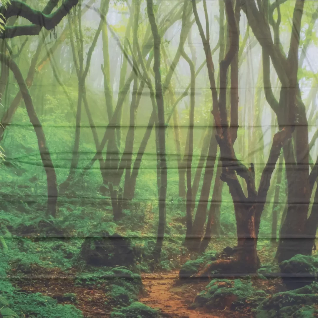 Horyzont Jungle 7