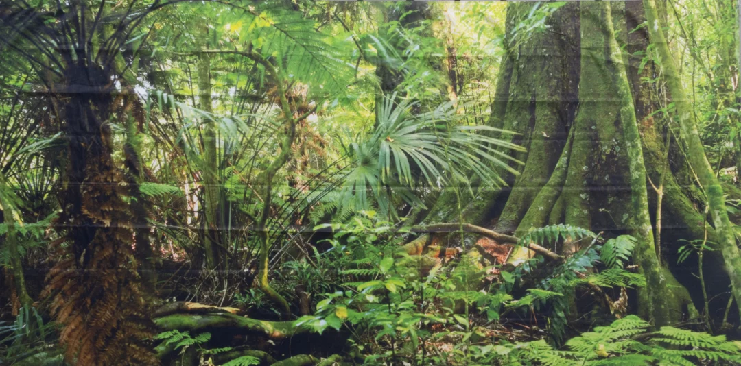 Horyzont Jungle 4