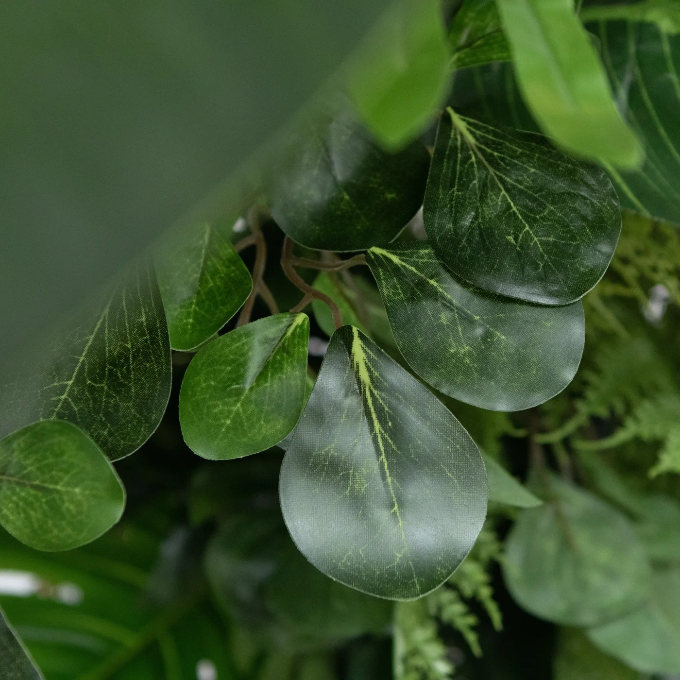 Fragment Ścianki Tropikalnej. Makro ujęcie dekoracyjnych zielonych liści z delikatnym użyleniem i naturalnym układem pnączy tworzy elegancką scenografię inspirowaną naturą. Zbliżenie podkreśla strukturę roślin i efekt głębi, dzięki czemu dekoracja idealnie sprawdza się jako detal zielonej ściany na wesele lub event. Wypożyczalnia dekoracji Wrocław rent4events.pl oraz rent4weddings.pl oferuje profesjonalne zielone aranżacje oraz scenografię premium dopasowaną do wyjątkowych realizacji - rent4events.pl wypożycz wrażenia, rent4wedding.pl zachowaj wspomnienia.